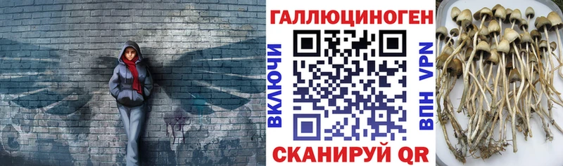 Галлюциногенные грибы прущие грибы  Сосновый Бор 